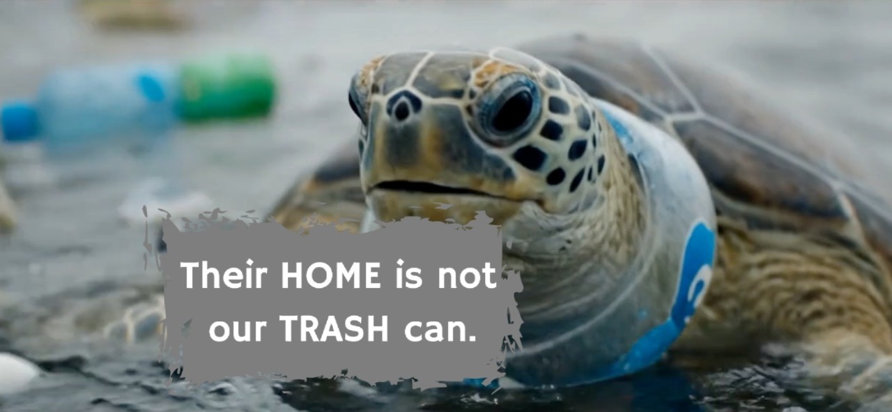 Why We Should Avoid Single-Use Plastic: Bring Your Own Reusable Water Bottle